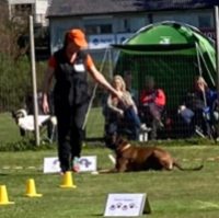 Birkeboxer Primo farsund