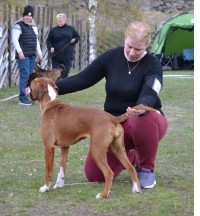 Monolaboxers Becky bir