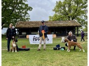 Norsk Boxerklubb kontaktområde Vestfold sin spesialutstilling 21.05.2022 - Presentasjon av vinnere  
