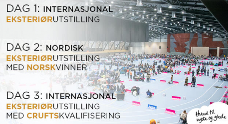 https://www.nkk.no/aktuelt/velkommen-til-nkk-sandefjord-article207077-988.html