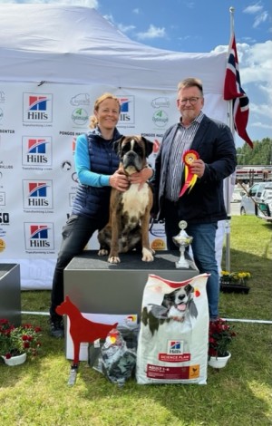 beste vateran 12.06