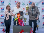 Norsk Boxerklubb Årsvinner 11.06.2022 - Presentasjon av vinnere 