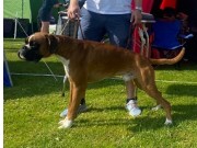 Maura 25.06.2022 - MossBox Born To Be Yours - CK CERT 1.BHK BIM 