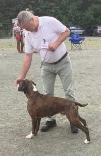Bir veteran 02.07.22jpg