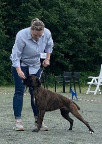 Beste Jr.02.07g5