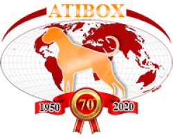 atibox_logo_web 20