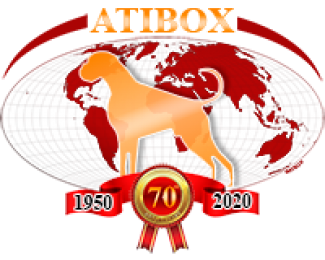 atibox_logo_web 20