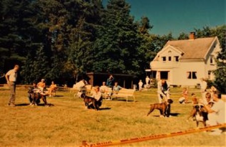 1990 1