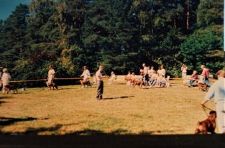 1990 2