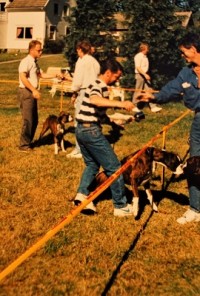 1990 7