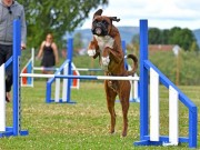 Namnå 17.07.2022 - Kronion`s Nemesis - Agility hopp 1XL- 2.vinner Excellent  Napp og sølvmerke