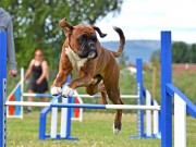 Finstadbru 30.07.2022 - Kronion`s Nemesis - Agility 1XL - 2. vinner - Excellent - Sølvmerke
