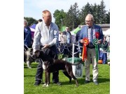 Karmøy 30.07.2022 - Kronions Kratos Your Felix - CK 1.BHK BIR