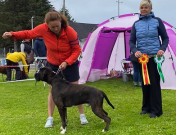 Karmøy 31.07.2022 - Kronions Kratos Your Felix - CK 1.BHK BIR