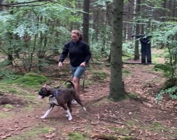 G & T-Hjertebo's Teeny Weeny Tomine MHg5