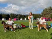 Norsk Boxerklubb avd Rogaland sin spesialutstilling 03.09.2022 - Presentasjon av vinnere 