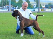 Orre 03.09.2022 - Longsdale's Stay'n Put - CK 1.BHK CACIB BIR - BIG 2