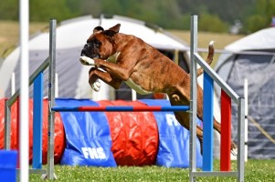 Kroniens Nemesis trysil hopp g5