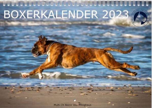 Boxerkalender 2023