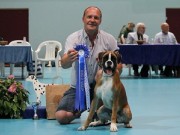 Stangehallen 14.08.2022 - Almighty Andrina - BIR Valp - BIG-2