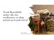 Norsk Boxerklubb ønsker alle to- og firbente en riktig Gledelig Jul. 