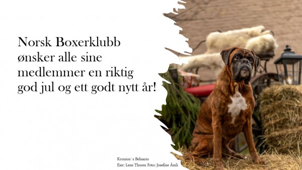Julehilsen NBK 2022 slider1
