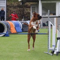 27.06.22 Nero Nordic Katla Our Star