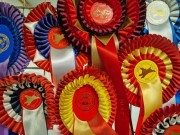 Informasjon om nye championater - Norsk Kennel Klub
