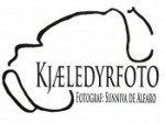 kjæledyrfoto-logo